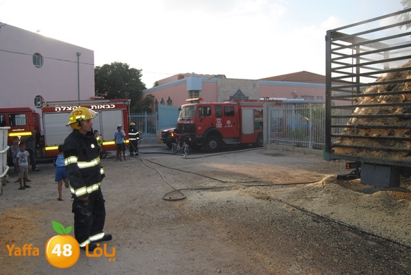 fire truck 804 (13).JPG